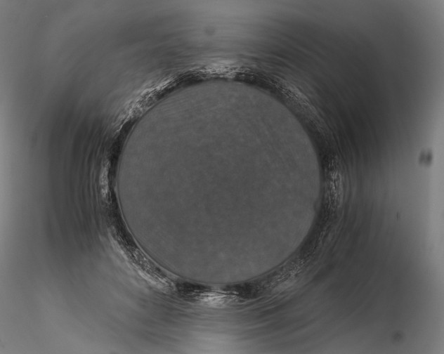 X0000116000504200912101321