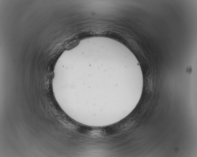 X0000116000505200912101321