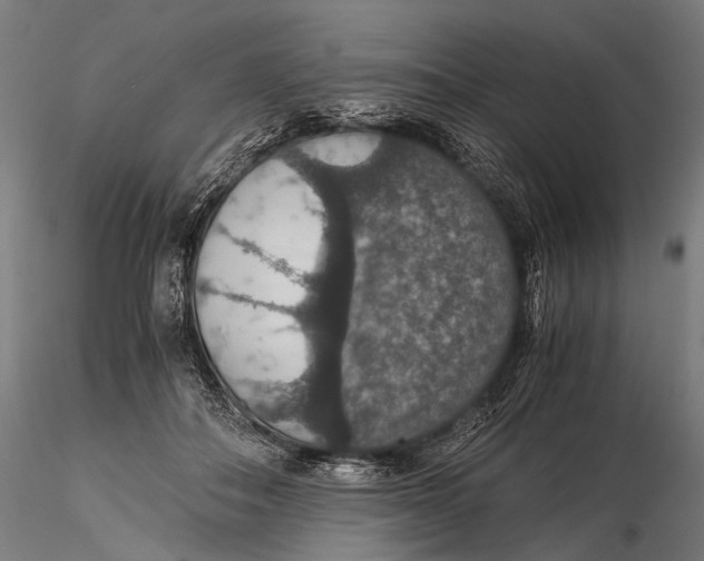 X0000116000506200912101321