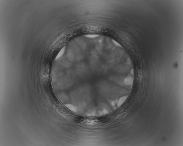 X0000116000507200912101321