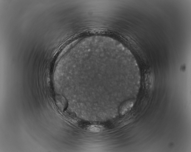 X0000116000508200912101321