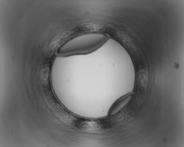 X0000116000509200912101320