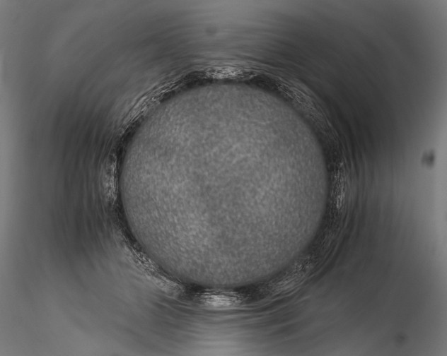 X0000116000510200912101320