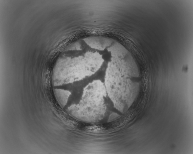 X0000116000511200912101320