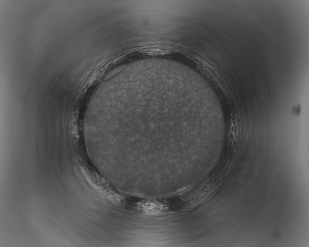 X0000116000512200912101320