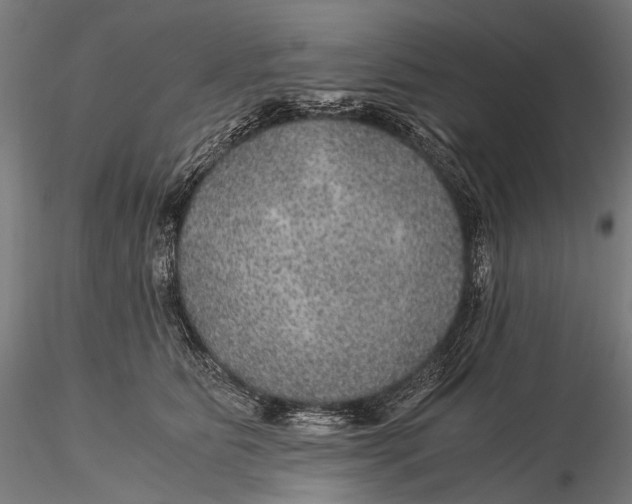 X0000116000515200912101320