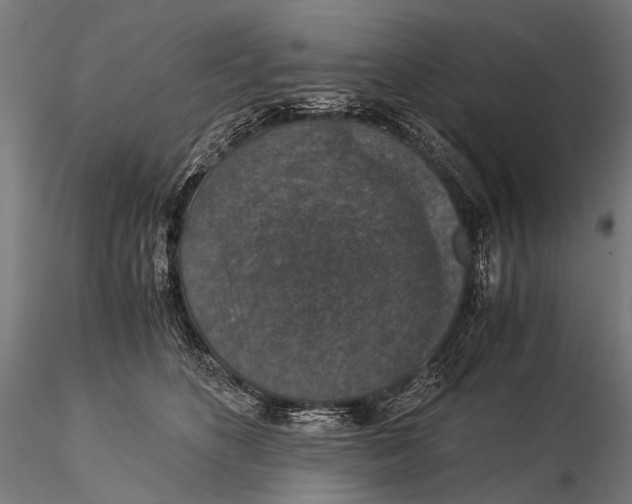 X0000116000516200912101320