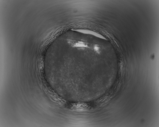 X0000116000517200912101320