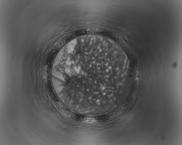 X0000116000519200912101320