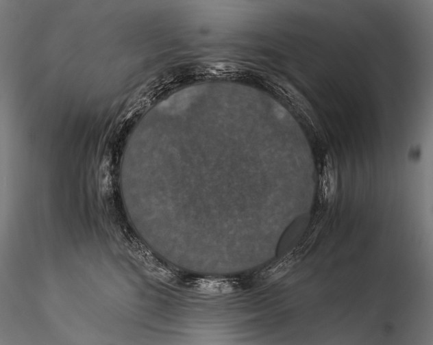 X0000116000520200912101320