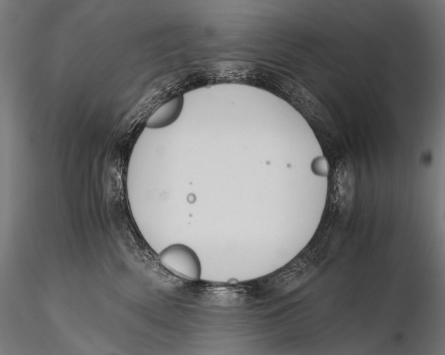 X0000116000522200912101320