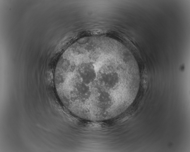 X0000116000523200912101320