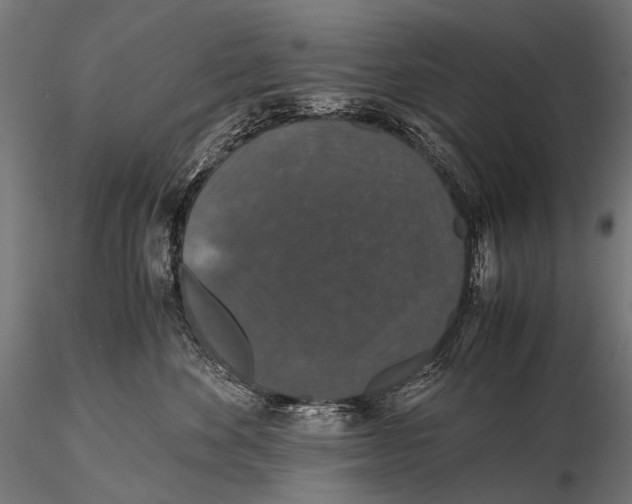 X0000116000524200912101320