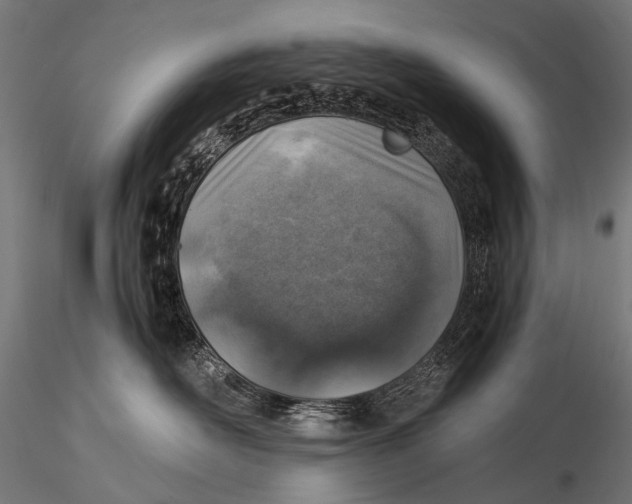 X0000116000526200912101320