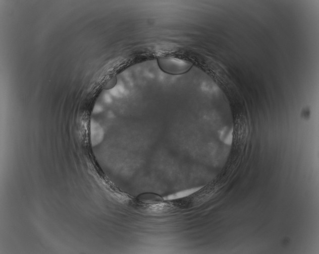 X0000116000527200912101320