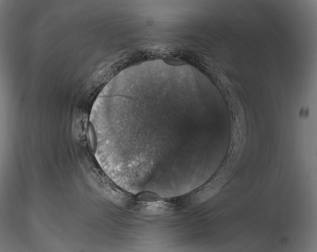 X0000116000528200912101320