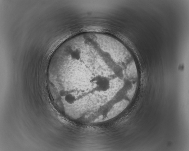 X0000116000529200912101319