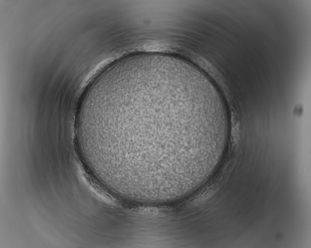 X0000116000530200912101319