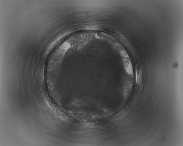 X0000116000531200912101319