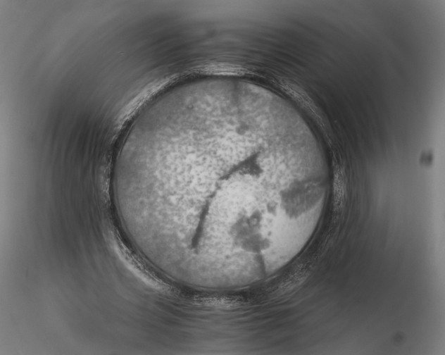 X0000116000533200912101319