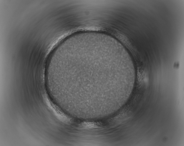 X0000116000534200912101319