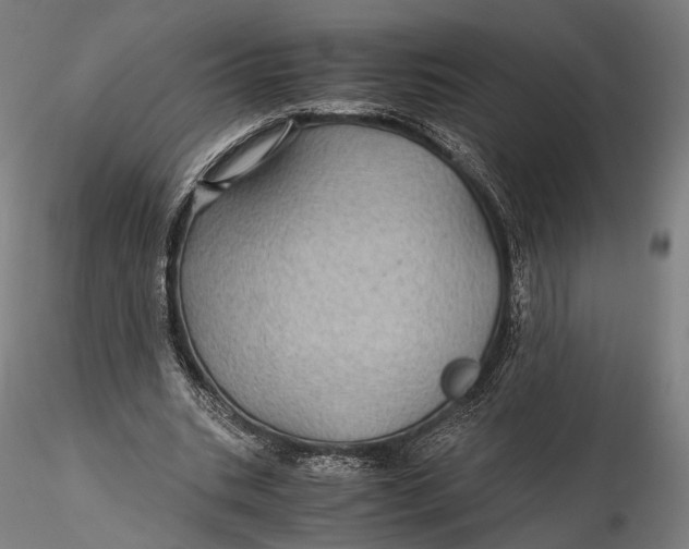 X0000116000535200912101319