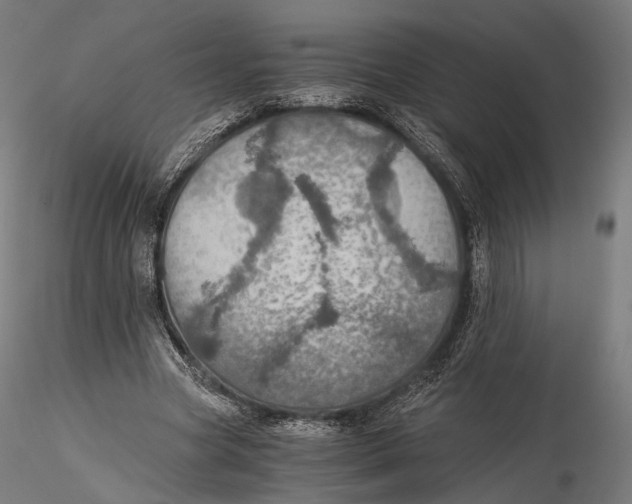 X0000116000537200912101319