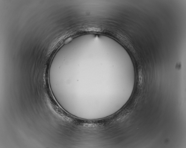 X0000116000538200912101319