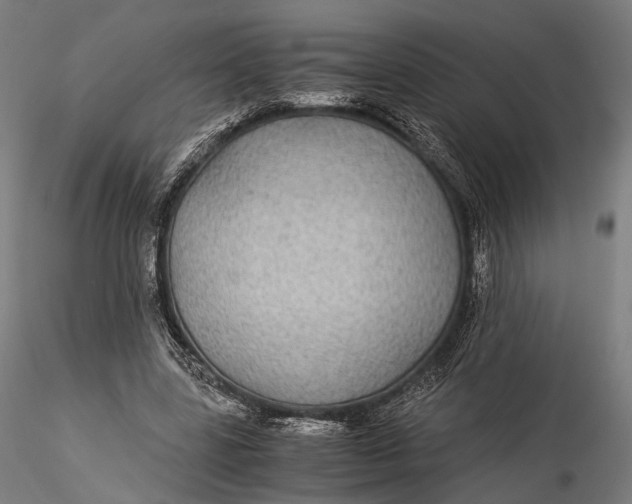 X0000116000539200912101319