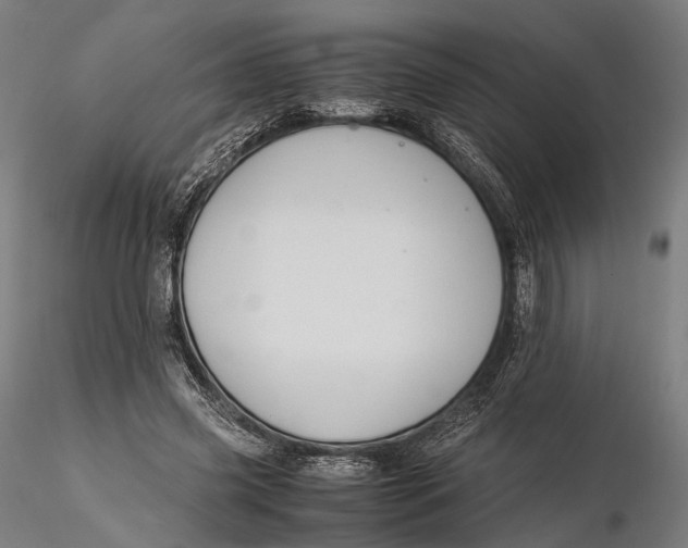 X0000116000541200912101320