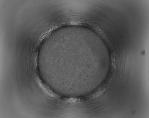 X0000116000542200912101320