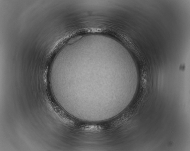 X0000116000543200912101320