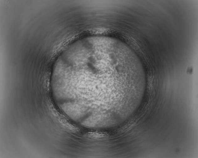 X0000116000545200912101320