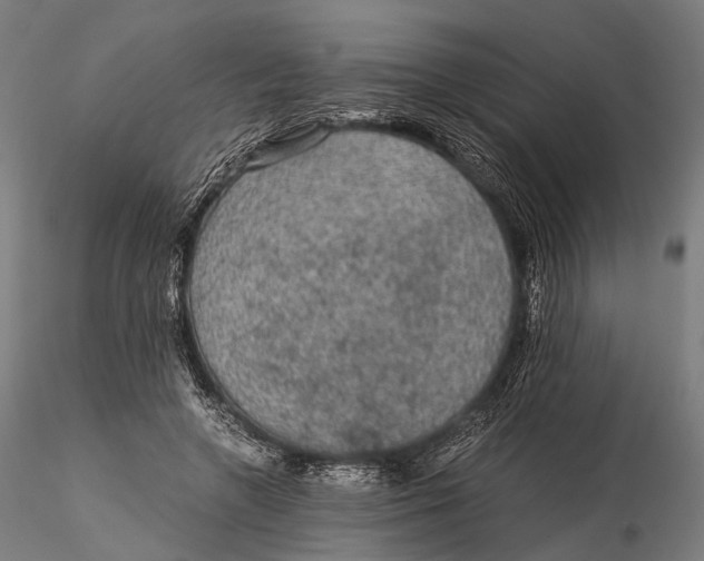 X0000116000546200912101320