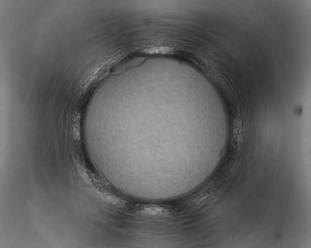 X0000116000547200912101320