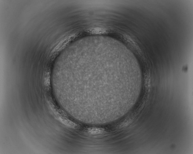 X0000116000549200912101320