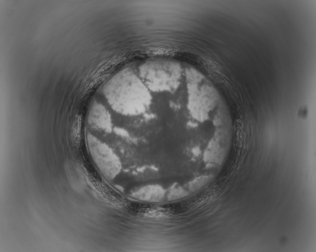 X0000116000550200912101320