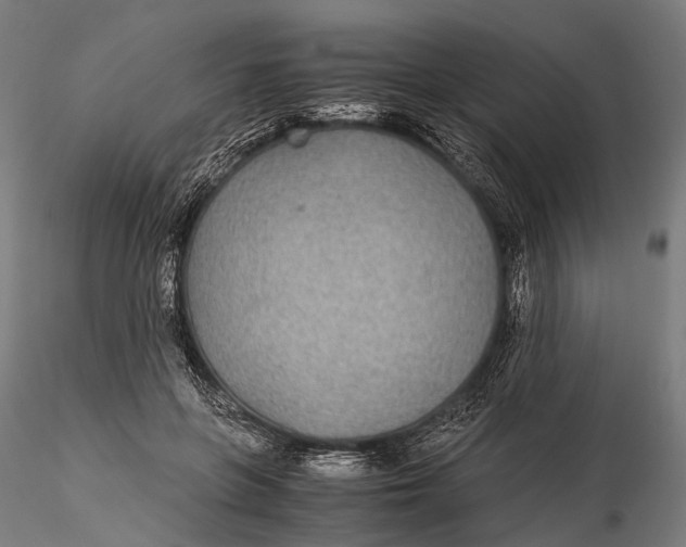 X0000116000551200912101320