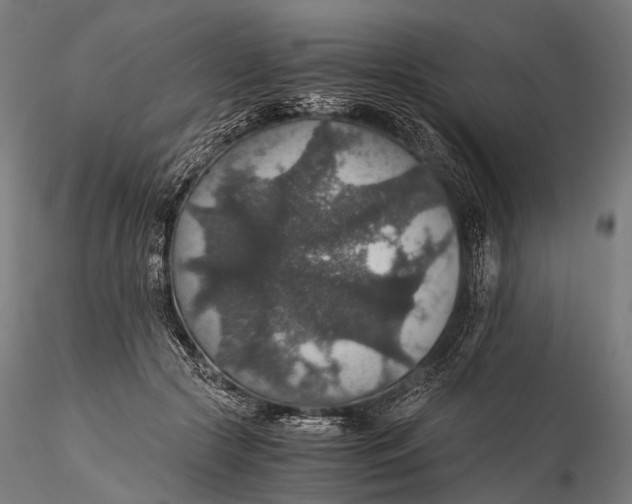 X0000116000553200912101320