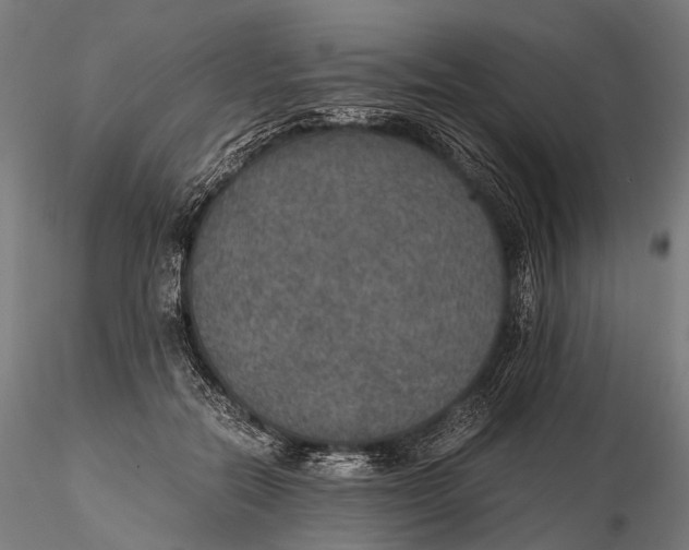 X0000116000554200912101320