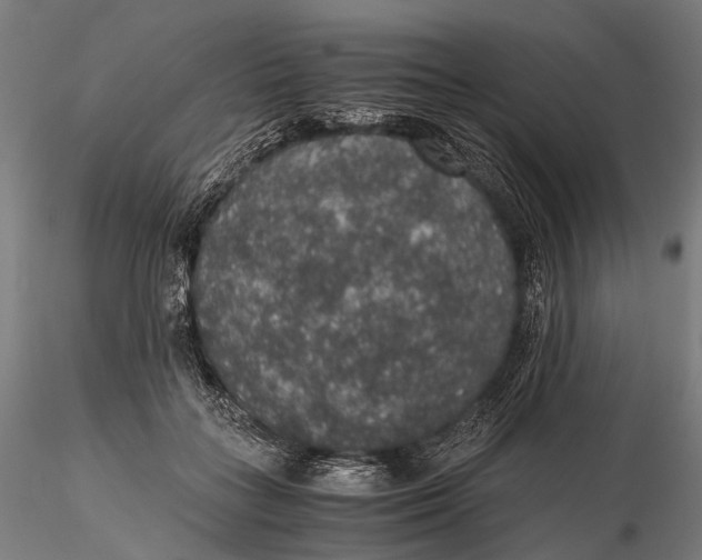 X0000116000555200912101320