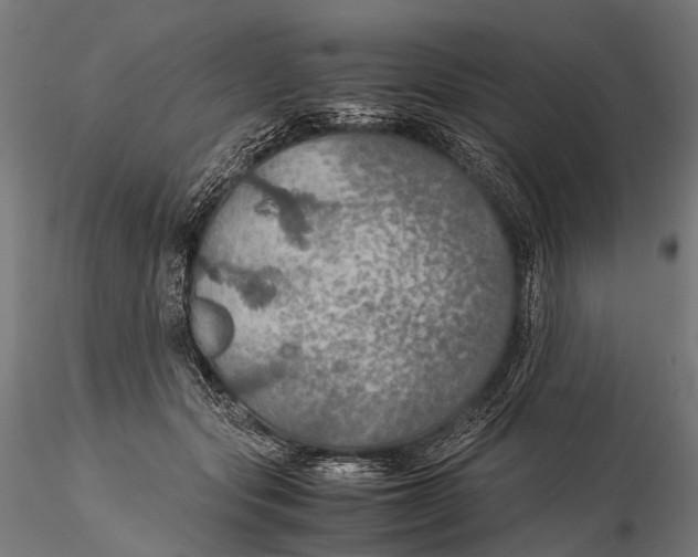 X0000116000557200912101320