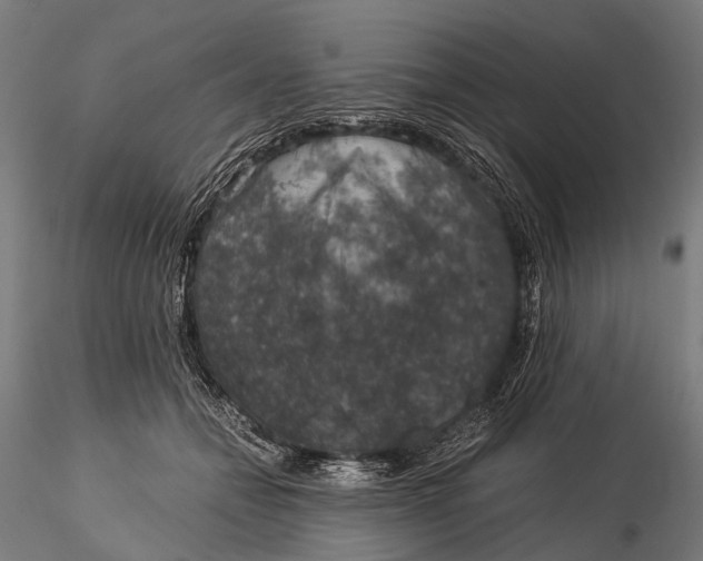 X0000116000558200912101320