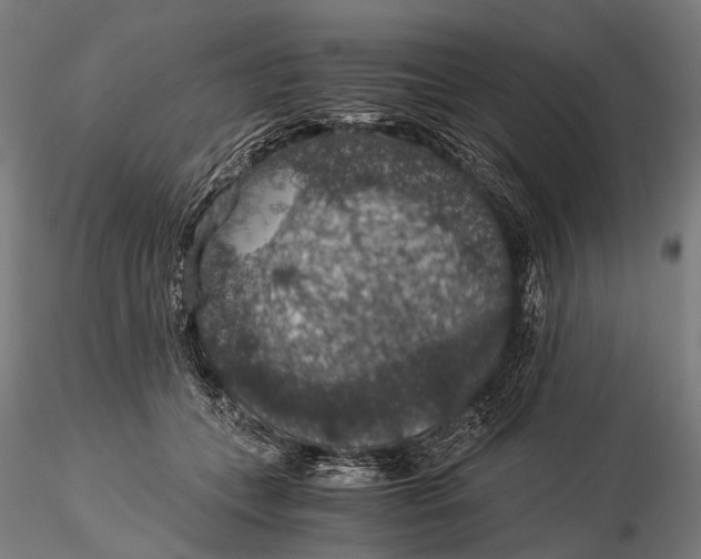 X0000116000559200912101320