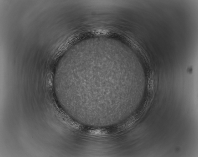 X0000116000561200912101320