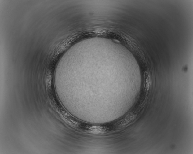 X0000116000562200912101320