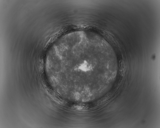 X0000116000563200912101320