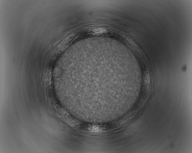 X0000116000565200912101320