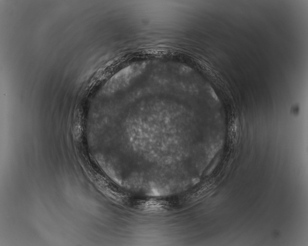 X0000116000566200912101320