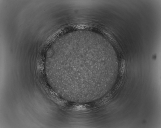 X0000116000569200912101320